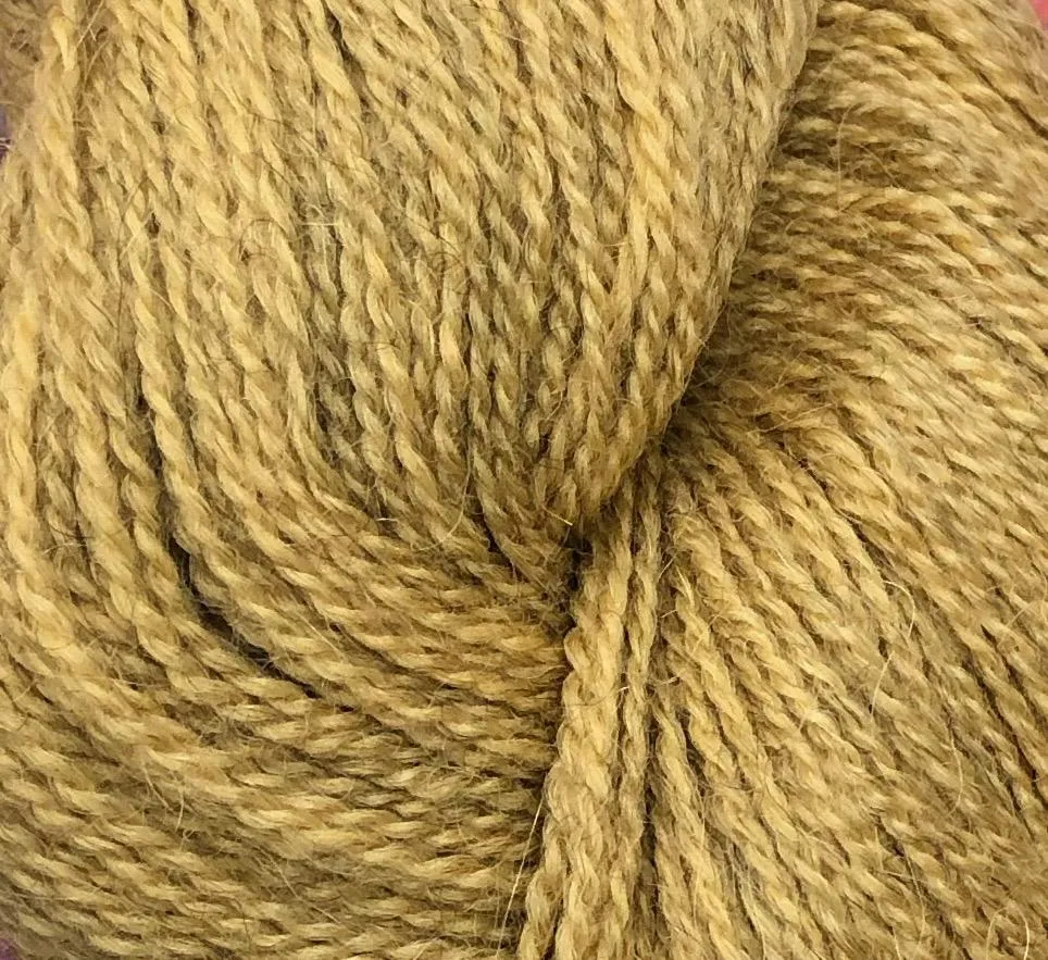 Alpaca 2