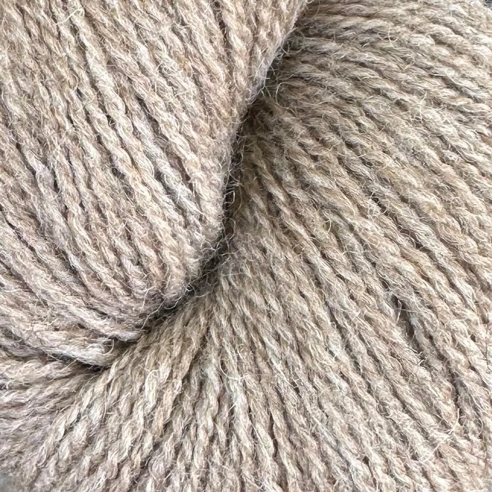 Alpaca 2