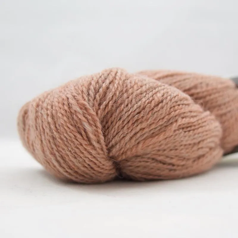 Alpaca 2