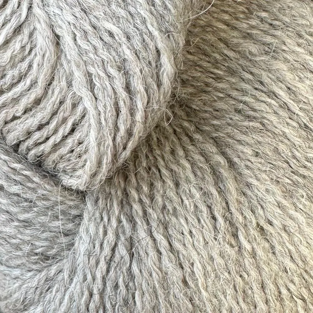 Alpaca 2