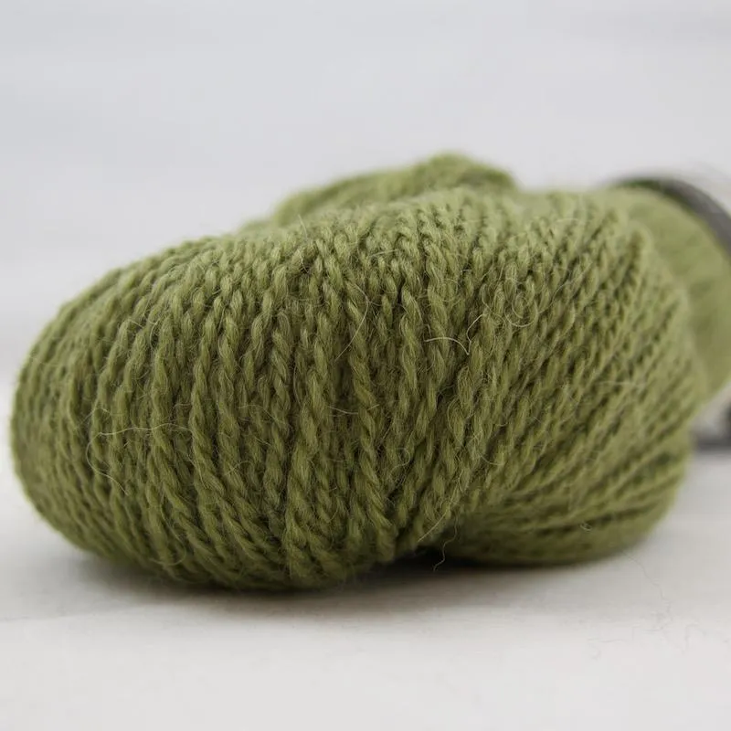 Alpaca 2