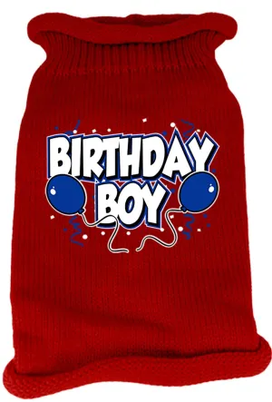 Birthday Boy Screen Print Knit Pet Sweater LG Red