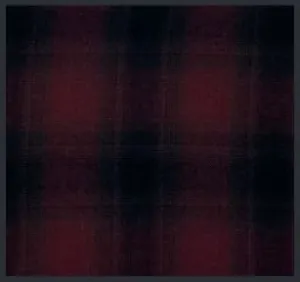 FX Flannel Shirts